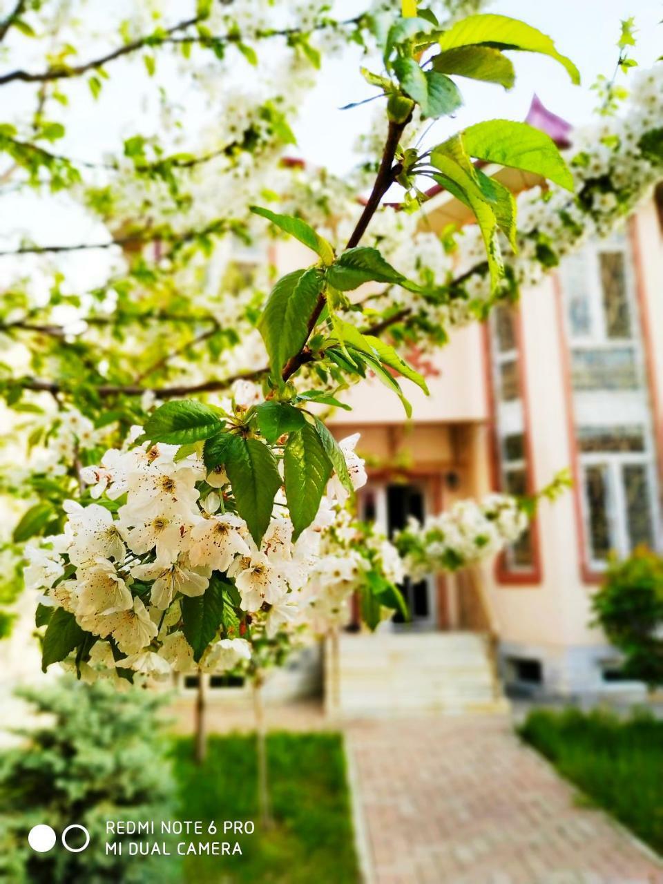Rakat Inn Navigator Taszkent Zewnętrze zdjęcie